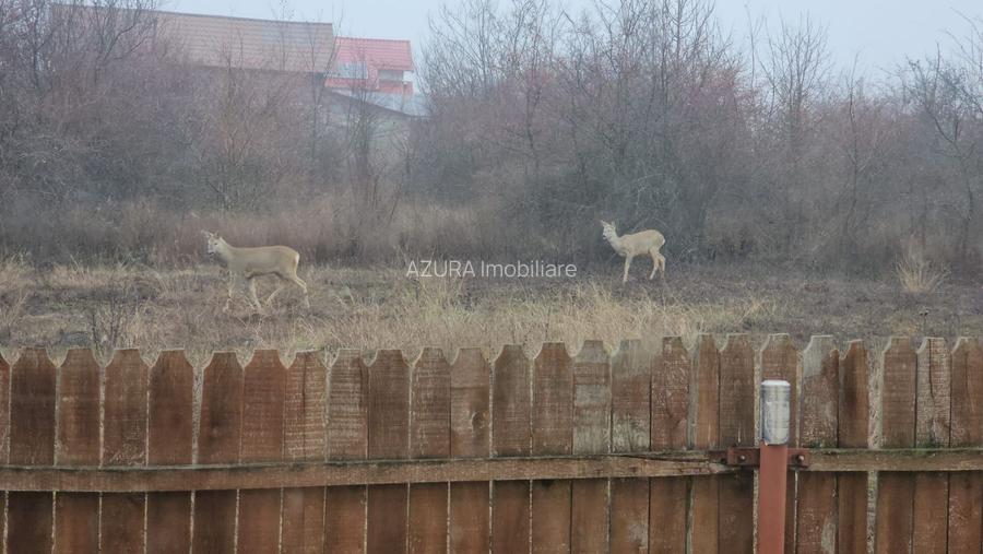 AZURA Imobiliare - Casa la cheie Mosoaia - pret de apartament! - 13