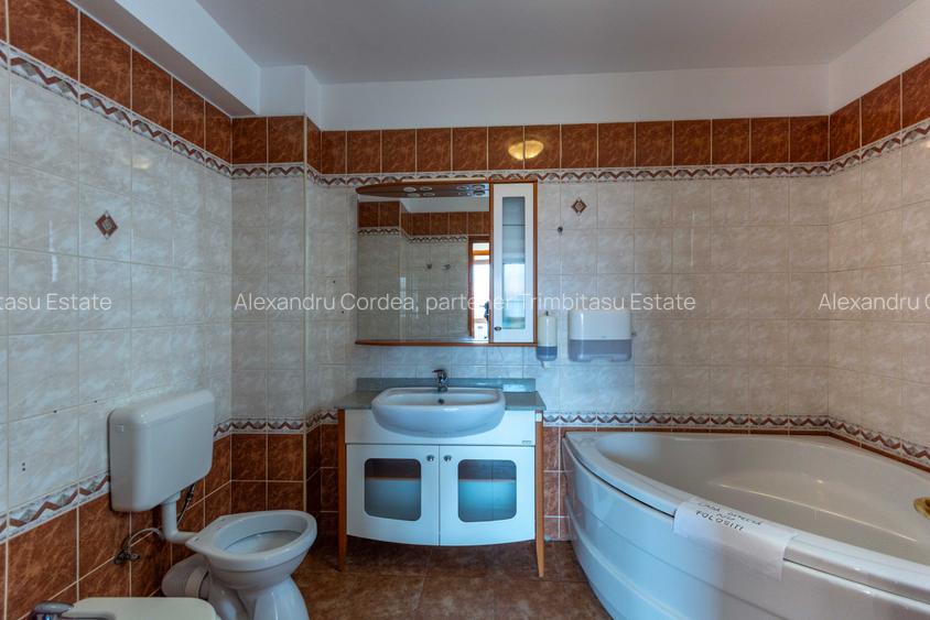 Aviatiei | Smaranda Braescu | Vila reprezentativa de inchiriat - 35