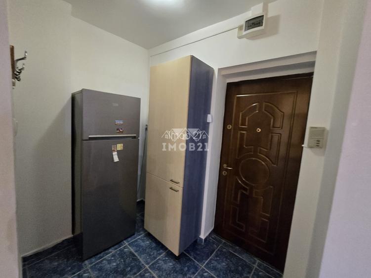 Inchiriere garsoniera spatioasa zona republicii Catedrala - 13