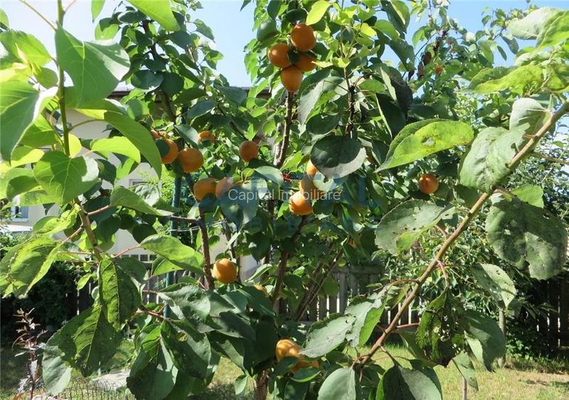 Casa de vanzare in Popesti, Giurgiu - 13