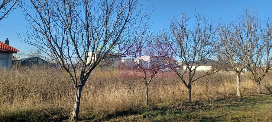 Săbăreni, teren construibil 2040 mp, stradal cu utilităti - 6