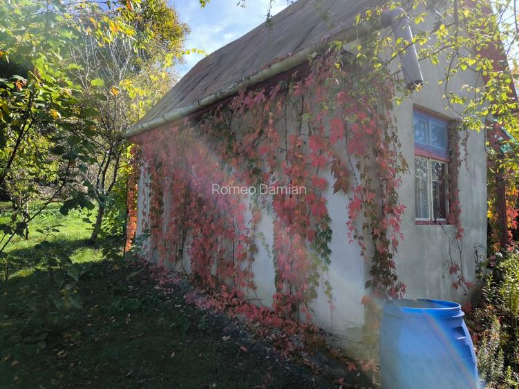 Teren cu cabana de vanzare - 7