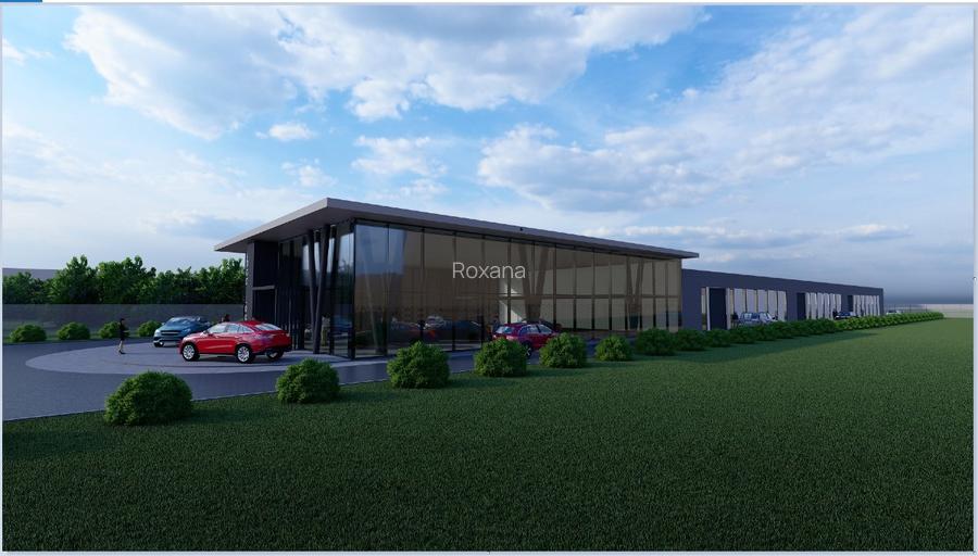 Opounitate - teren pe soseaua Borsului - 2