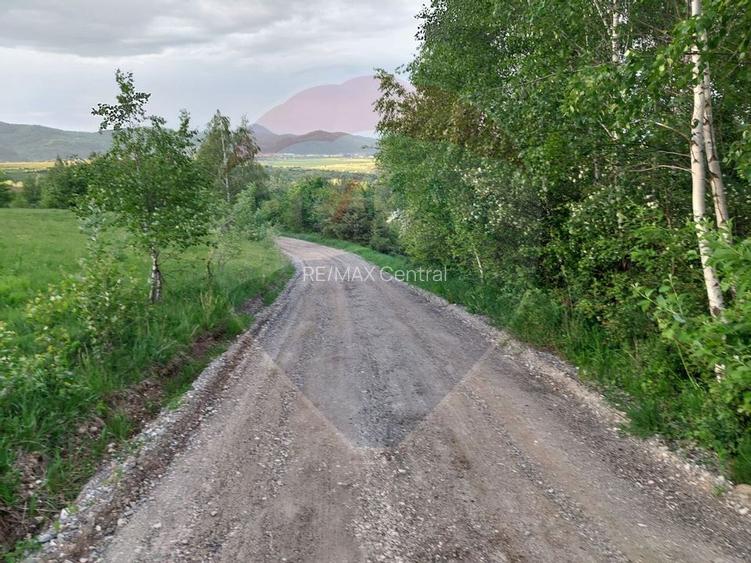 Teren Bran-Zarnesti - Tohanita, 4223mp - 9