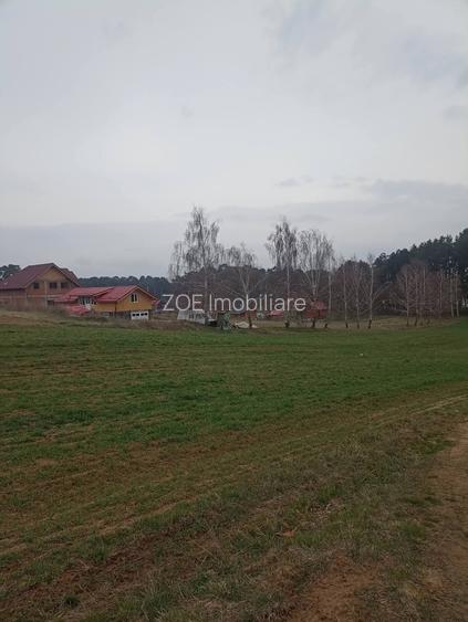 De vânzare terenuri intravilane în Reci - 7