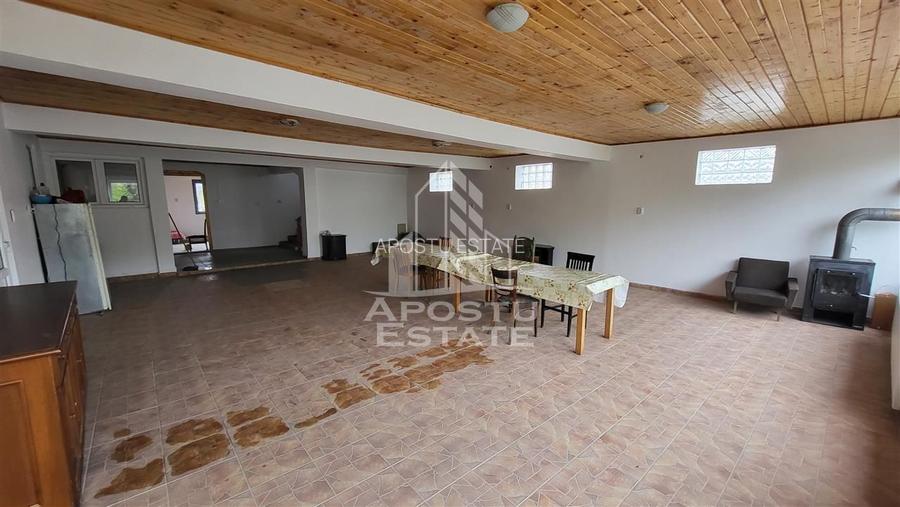 Casa ideala pentru birouri/alte activitati Mehala - 27