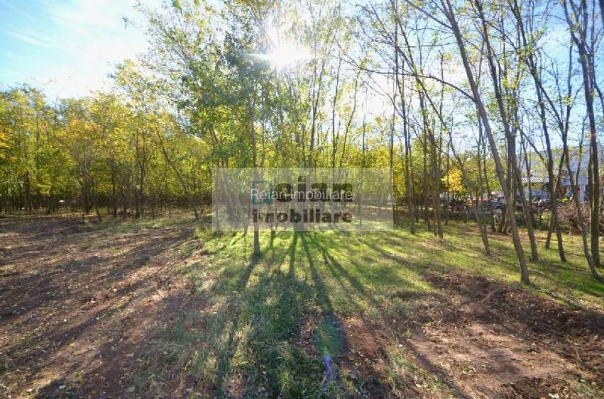 Snagov Ciofliceni Mânastire- Teren 1432 Mp, D 60 M, Curent Gaze Asfalt - 6