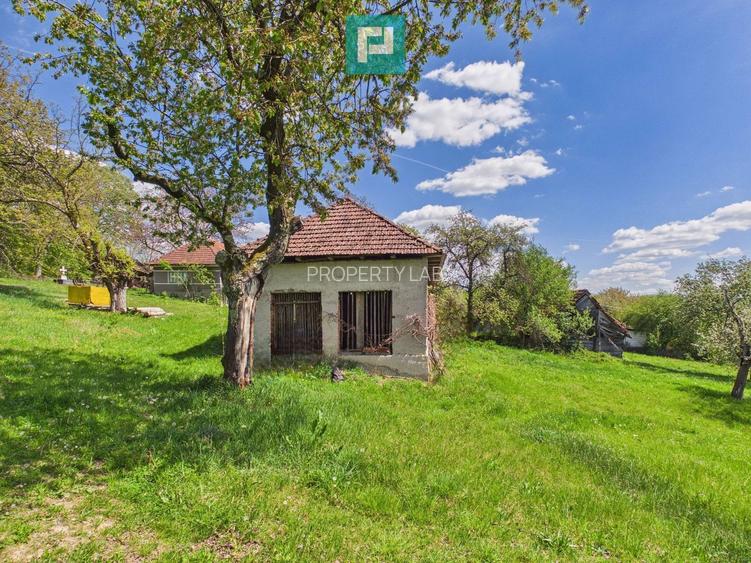 Proprietate rară cu 24.270 mp, în Măgulicea, Arad!