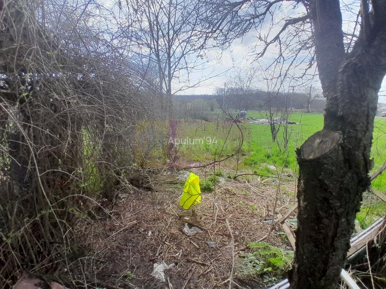 DE VANZARE TEREN 3400 MP IN SAT PODU ILFOVAT / COM BUTURUGENI (GR) - 30