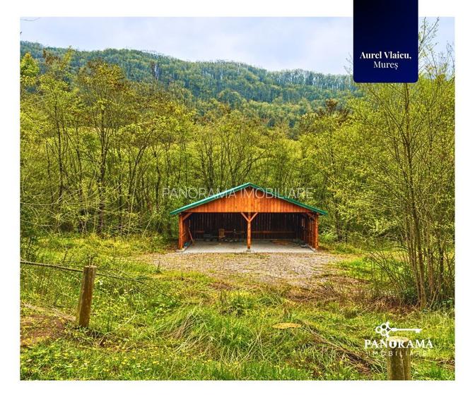 Teren 5.144 mp în Aurel Vlaicu, Sighișoara –excelent pt investiții - 7