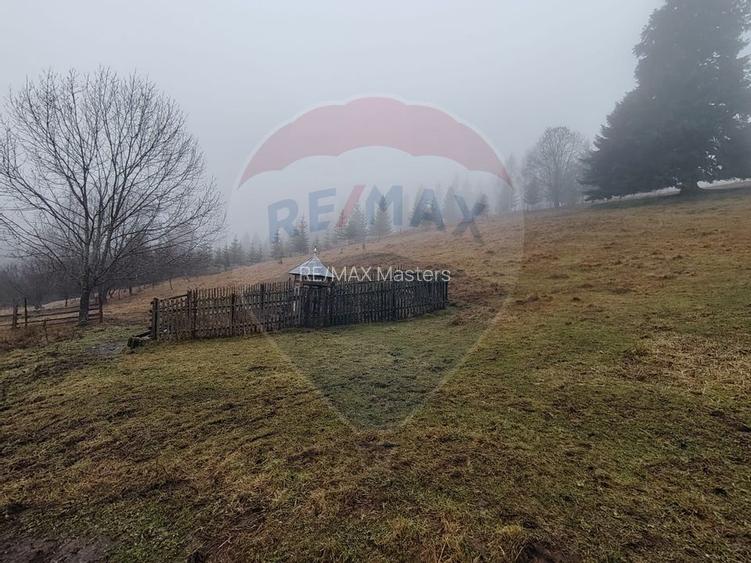 Teren intravilan 26232m.p.  Dorna-Arini / Cozănești - 5