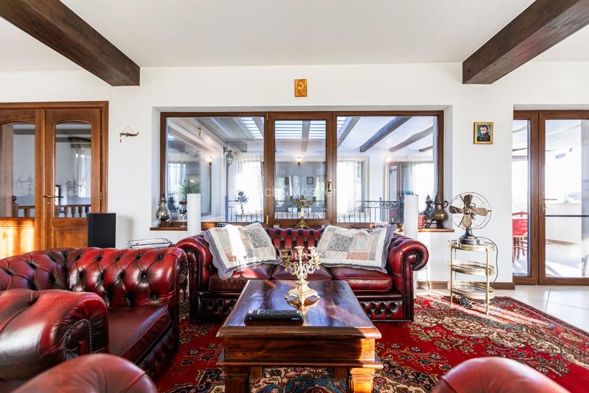 Refugiul Perfect de Lângă Timișoara - 8