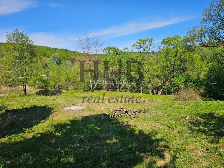 Teren intravilan | langa padure si parau | Luncani/Bacau - 5