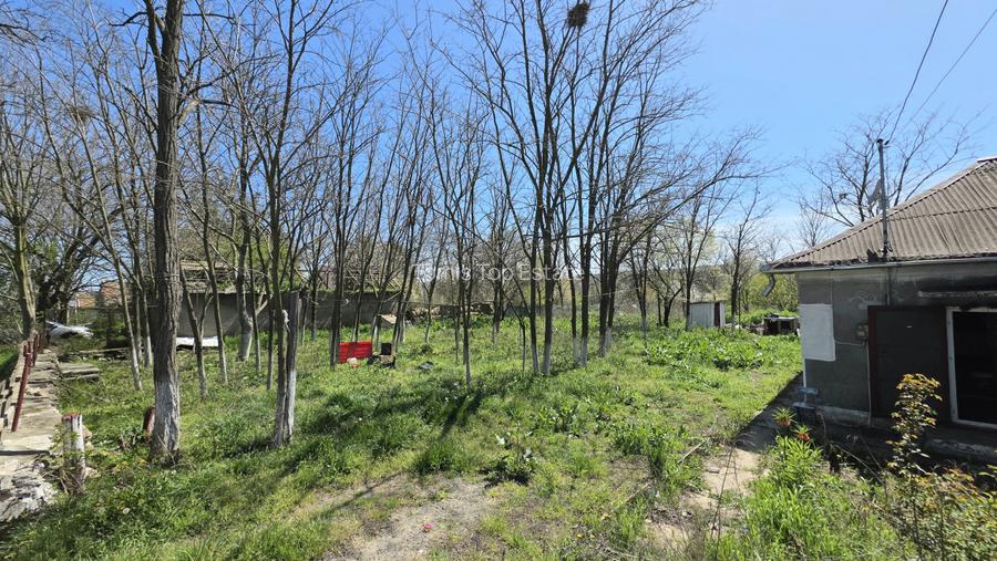 Teren intravilan 2760 MP in Sibioara, Jud. Constanta, ideal pentru investitie - 4