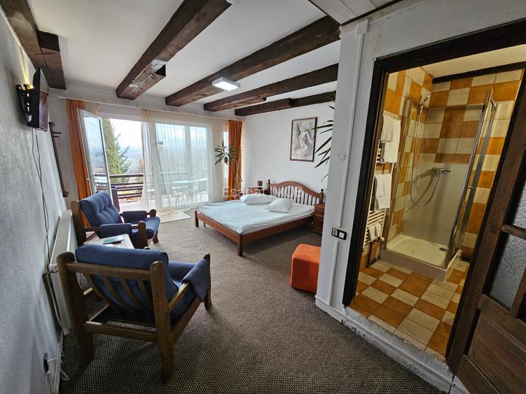 Pensiune + 2 Case, Piscina, Iaz, Garaj, Curte 3.200 mp, panouri |VIDEO - 23