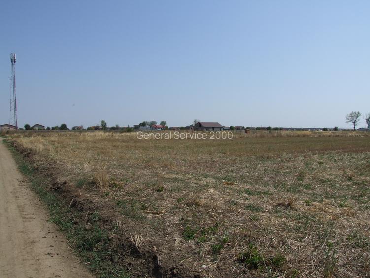 Domnesti-Teghes, teren 9.817 mp strada Pinului - 6