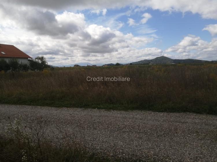 Teren de vanzare Harman - 4