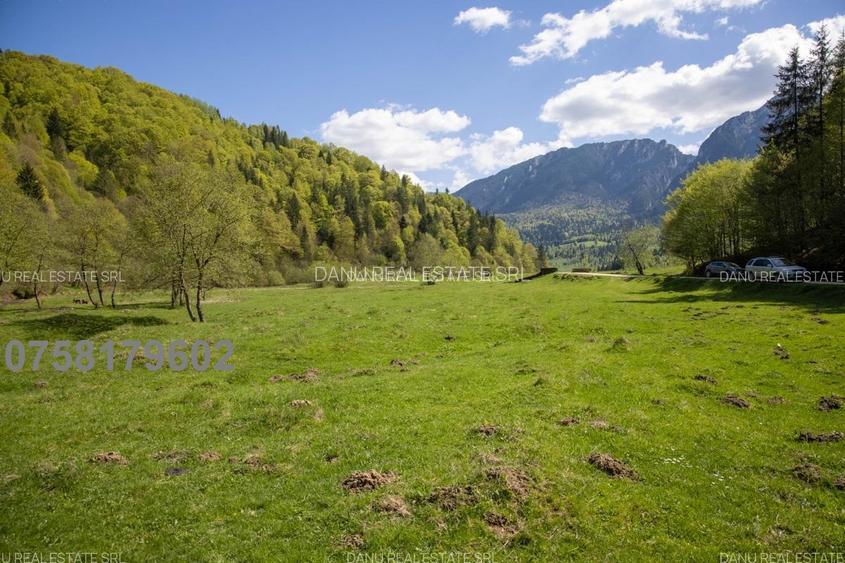 Zarnesti Barsa Fierului-Teren 1893mp cu fantana si acces parau - 14