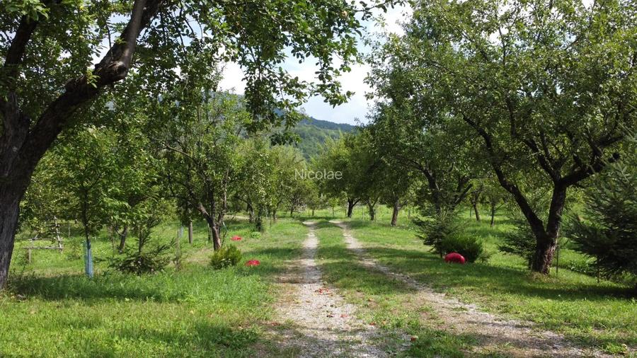 Proprietate unică în Piatra Doamnei – Corbi, Argeș  - 2