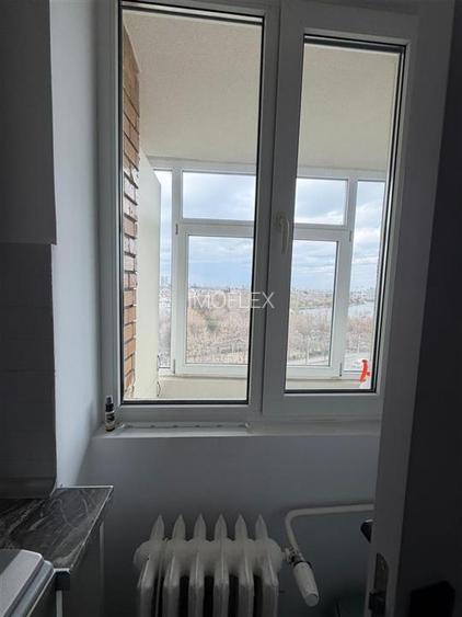 Pret negociabil!! Studio modern Vedere panoramica la lac Lacul Plumbuita - 20