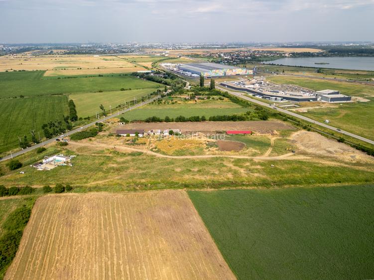 Teren de 30.000 mp în Cernica – pentru Dezvoltare Rezidențială sau Industriala - 7