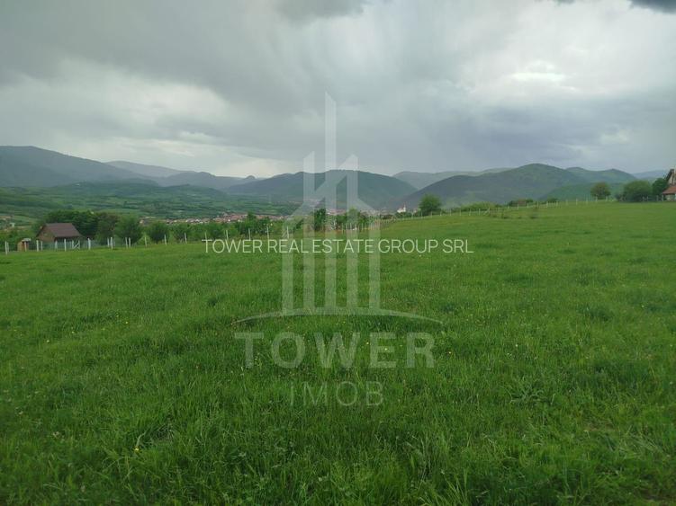 Teren de vinzare in Tropini Vechi - 5