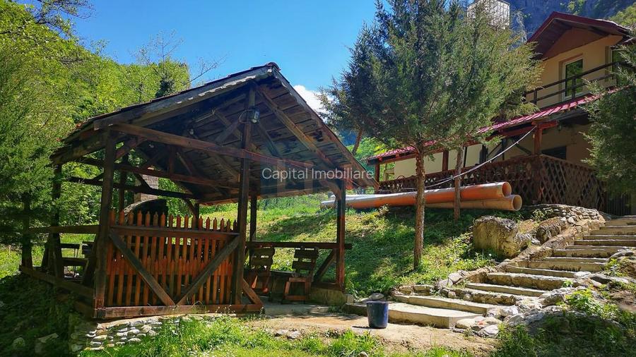 Casa de vacanta perfecta pe malul Cernei  - 5