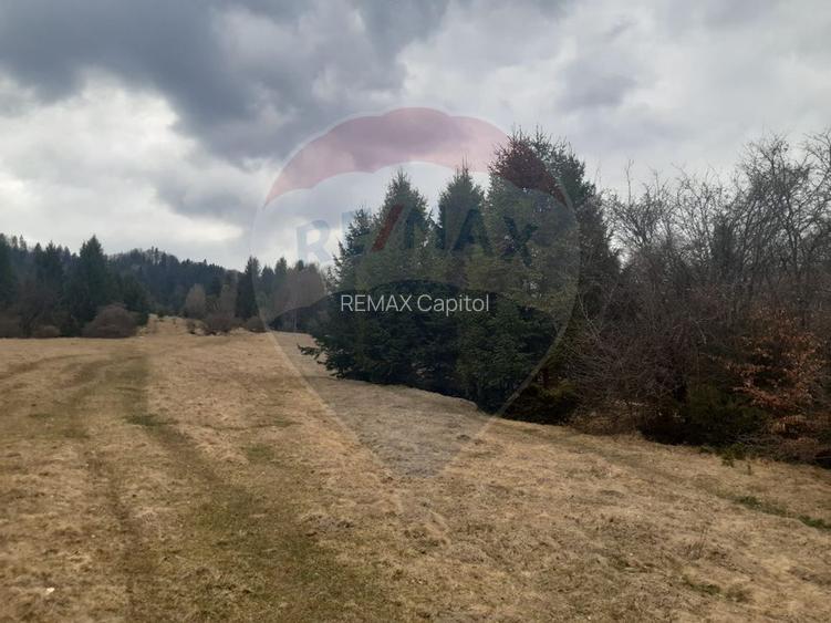 Teren Rasnov/ Soseaua Predealului DN73B - 7