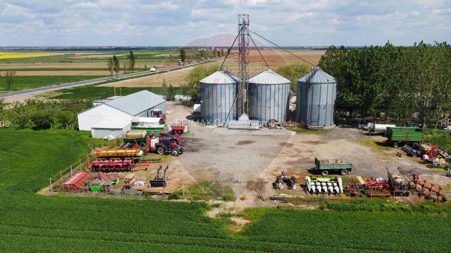 Ferma porcine la cheie - 3