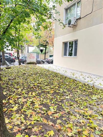 Vanzare apartament 3 camere renovat Primaverii - 4