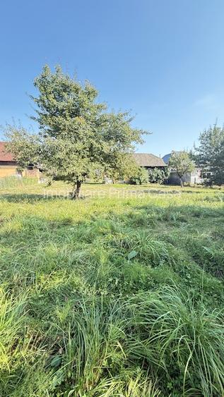 OCOLIS casa batraneasca cu sura si 14 ari teren! - 5