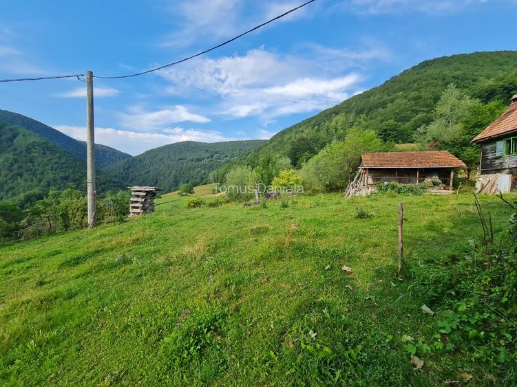 Teren de vânzare cu casă în Apuseni - 7