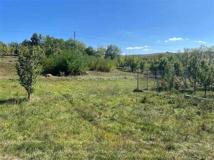 Teren intravilan 2.075 mp, construibil, comuna Drajna, Prahova - 3