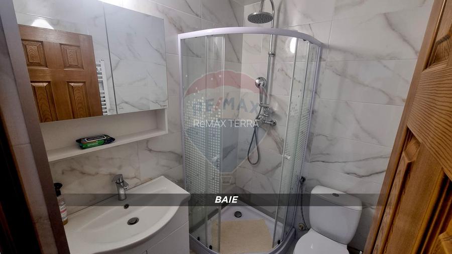 Apartament cu o camera, decomandat, de inchiriat, zona ultracentrala - 7