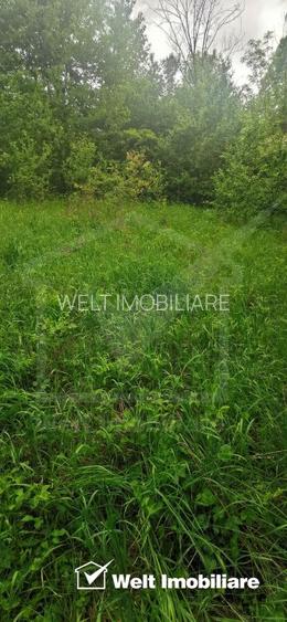 Ocazie!Teren intravilan in comuna Ciurila sat Saliste, priveliste - 4