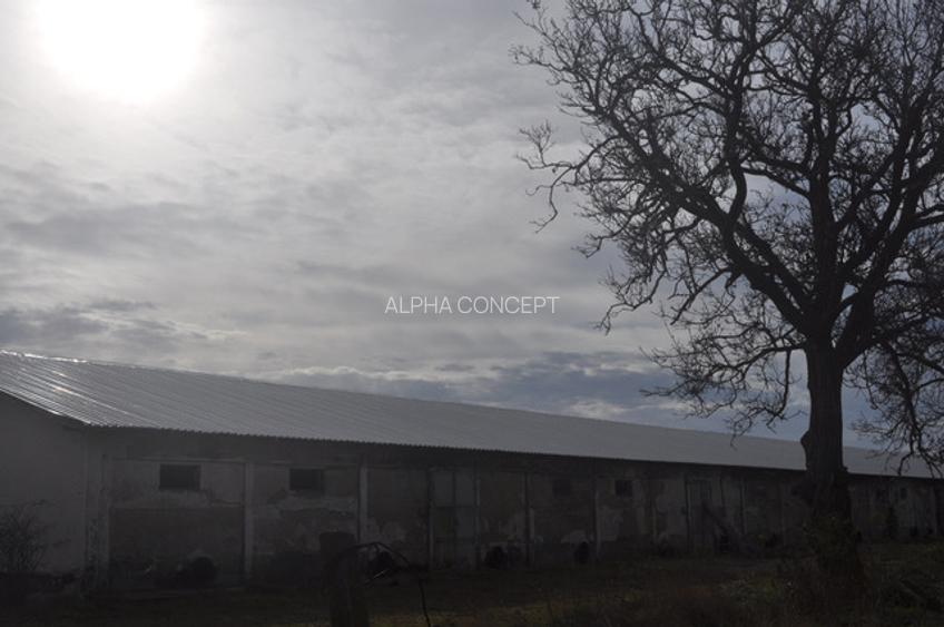 DEPOZIT CEREALE - CEAMURLIA DE JOS/STATIA CFR TVA INCLUS - 18