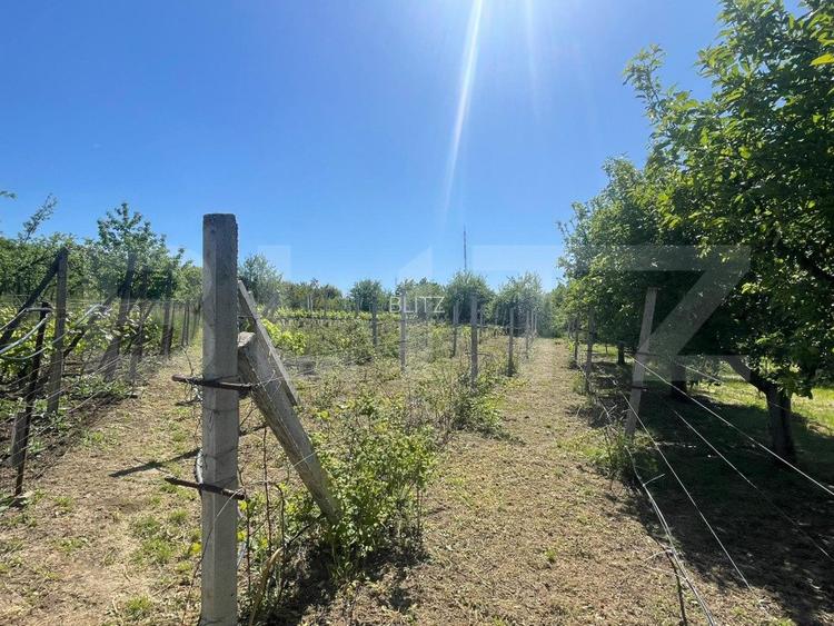 Proprietate cu casa si teren in Oradea - 6