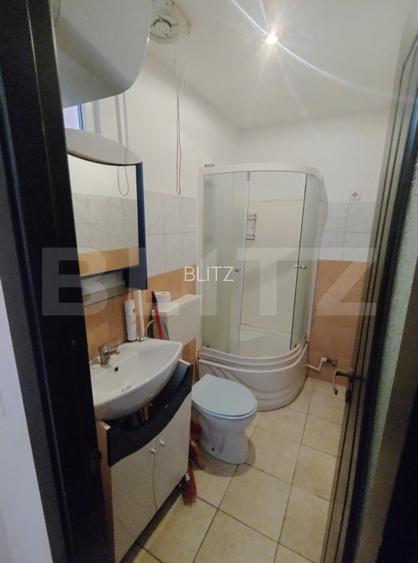 Garsoniera 16 mp, Calea Severinului, in spatele Brico Depot - 6