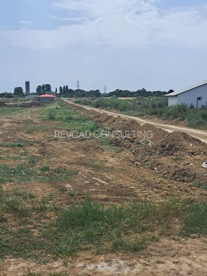 Teren Steaua de Mare 2 - 3