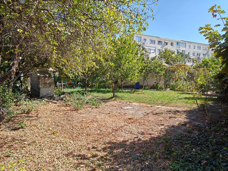 VANZARE TEREN MANGALIA