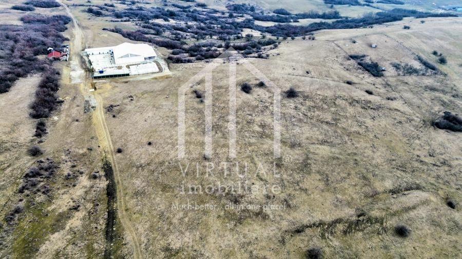 Teren de vanzare in Sibiu 67.500 mp, extravilan, Dealul Daii
