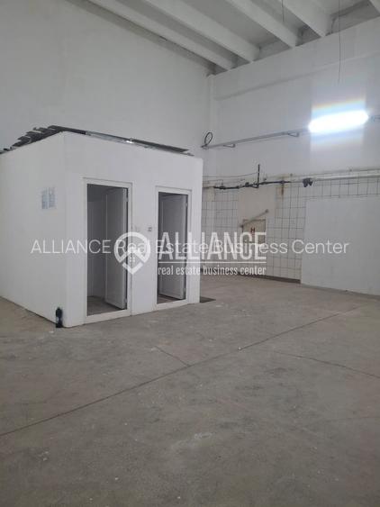 ZONA INDUSTRIALA (COD04)-Hala 270 mp ideal service auto - 4