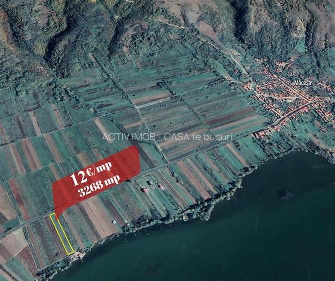 Macesti jud. CS - Teren extravilan de vanzare - la doar 26 metri de Dunare - 2