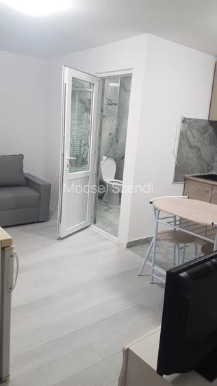 Ofer spre inchiriere garsoniera la casa  - 4