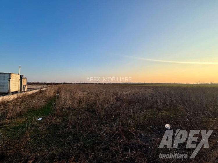 Teren industrial 16300mp | 60X275M | Centura Bucuresti - 6