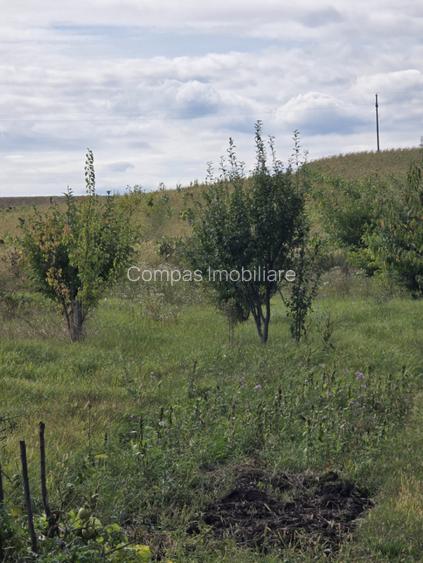 Vila ta in mijlocul naturii | Caciulesti, dotari moderne - 9