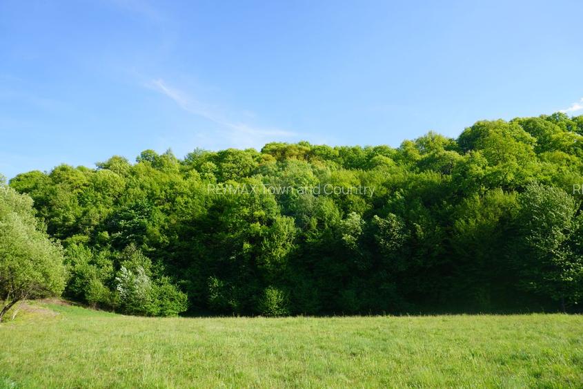 Teren 33,137mp Sighetu Marmatiei / Strada Mocăniței - 6