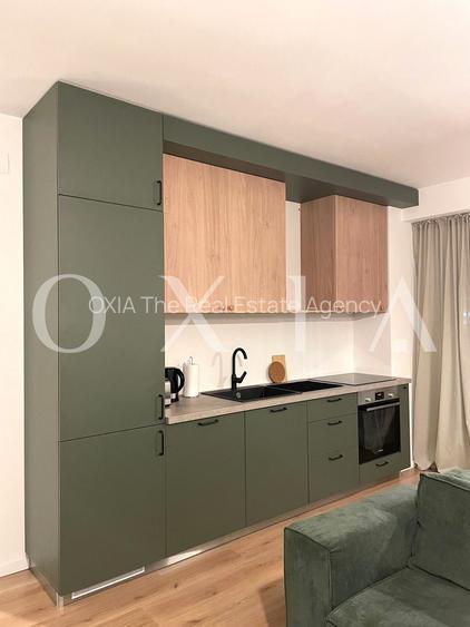 AX1146 Lipovei, Certificat Green Homes, Preluare Business - 4