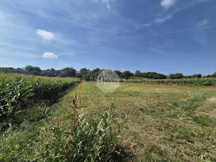 Casa Veche + Sura + Anexe | 70 mp utili | 3600 mp teren | Deusu - Chinteni ! - 4