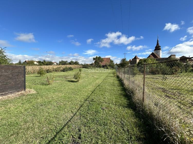 Grădina din Cetate – Un Colț de Istorie și Natură, Doar al Tău - 13